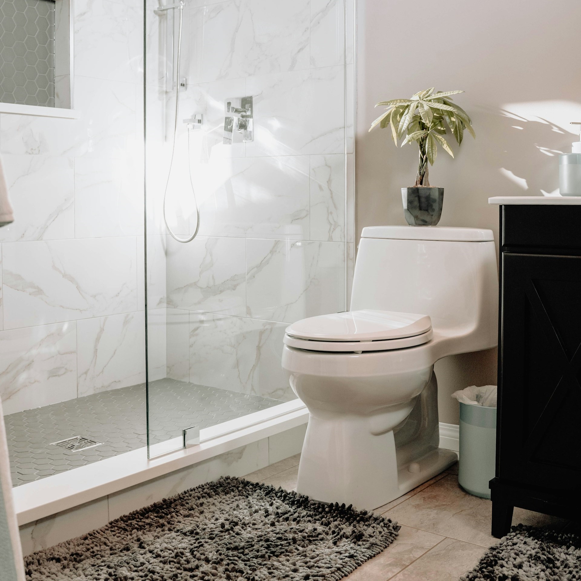 bathroom with toilet shower and plant